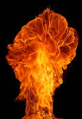 psychotherapy for explosive anger issues west los angeles